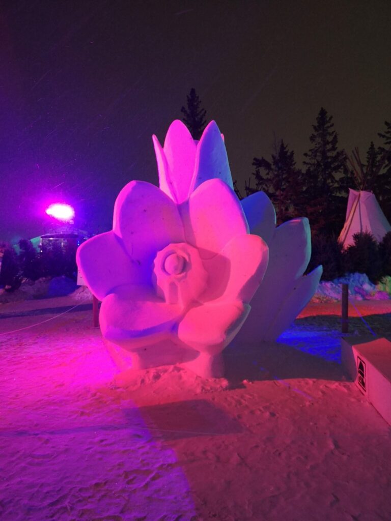 Winnipeg Manitoba City Festival Voyageur FestivalduVoyageur Sculpture Snow SnowSculpture Flower