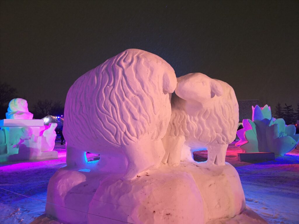 Winnipeg Manitoba City Festival Voyageur FestivalduVoyageur Sculpture Snow SnowSculpture Sheep