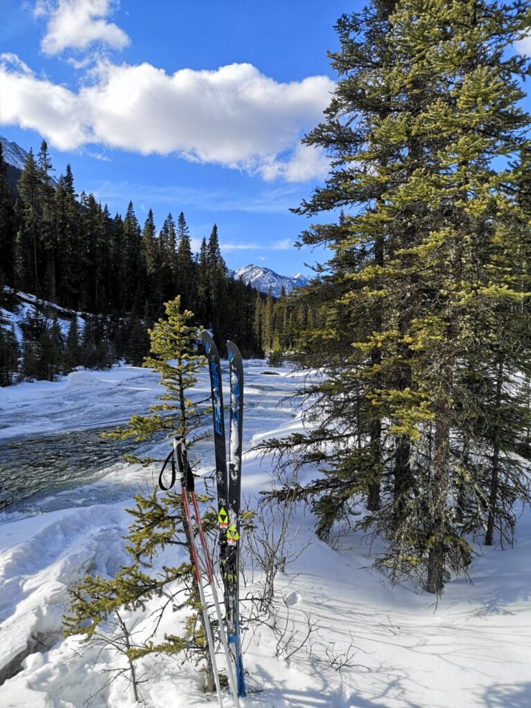 Goat Creek GoatCreek Cross-country XCountry X-country CrossCountry Ski CrossCountrySki Cross-CountrySki Skiing Canmore Alberta CrossCountrySkiing  Rockies TheRockies Forest Snow
River Mountain