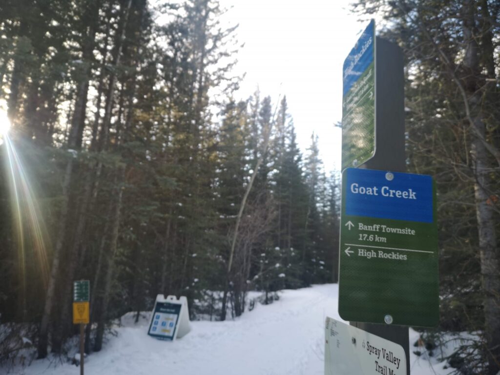 Goat Creek GoatCreek Cross-country XCountry X-country CrossCountry Ski CrossCountrySki Cross-CountrySki Skiing Canmore Alberta CrossCountrySkiing  Rockies TheRockies Forest Snow
Sign