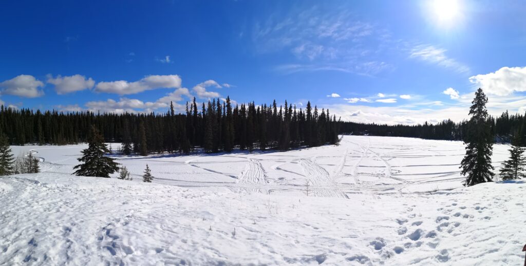 Yukon Whitehorse Walking Snow Snowmobile Lake