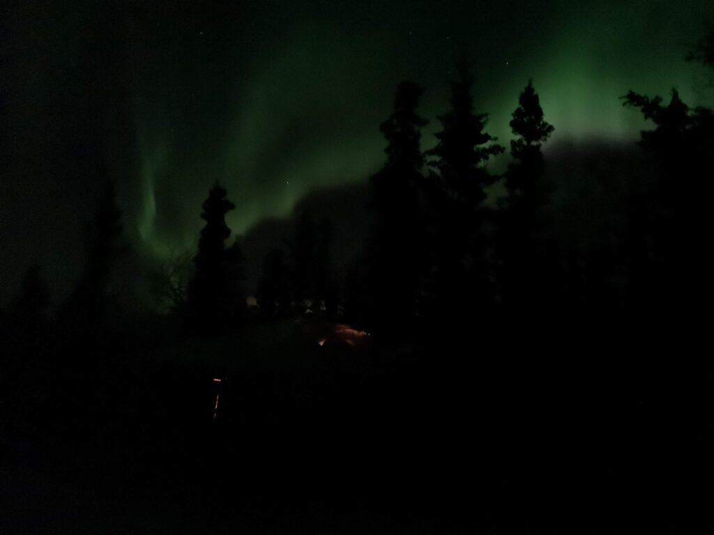 Yukon Whitehorse Northern Lights NorthernLights Sky Night NightSky Star Stars Aurora Borealis AuroraBorealis