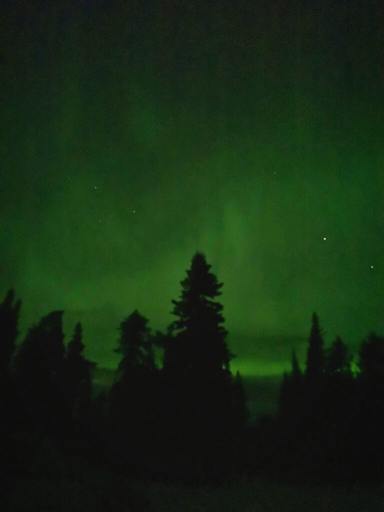 Yukon Whitehorse Northern Lights NorthernLights Sky Night NightSky Star Stars Aurora Borealis AuroraBorealis