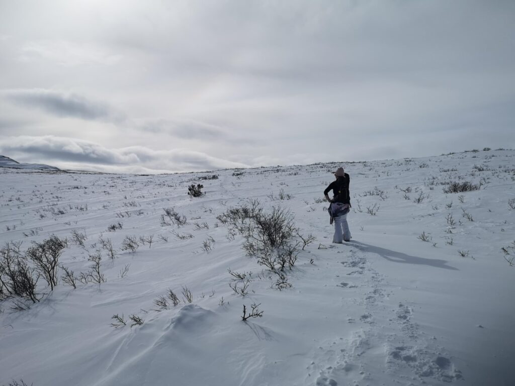 Whitehorse Yukon FishLake Bonneville Peak BonnevillePeak Hike Hiking Ceri